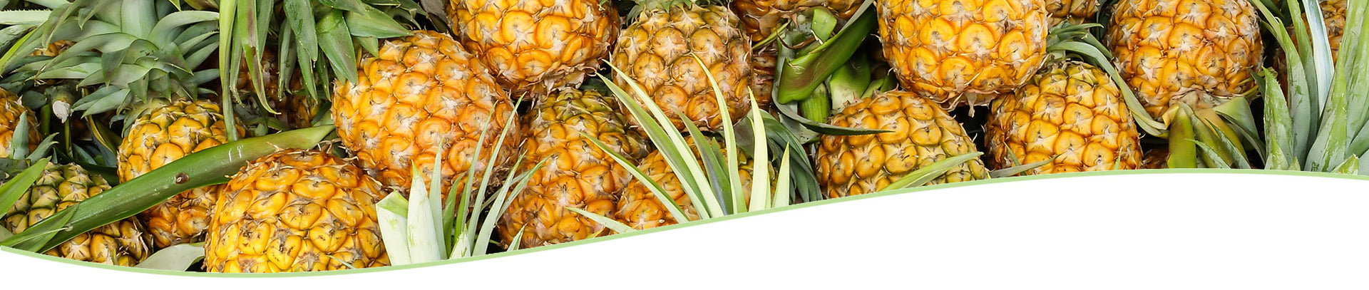 Dole Fresh Fruit from Hawaii Collection