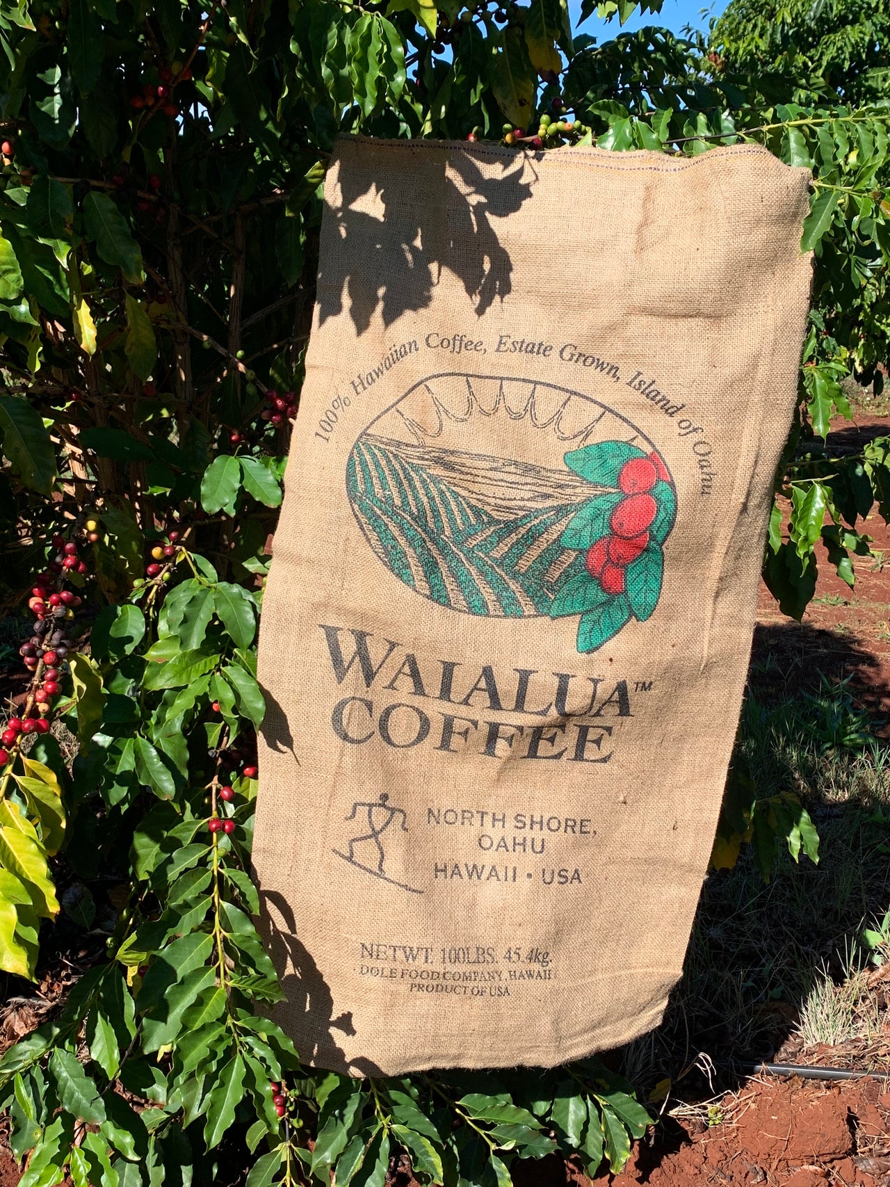 Waialua Coffee Burlap Bag