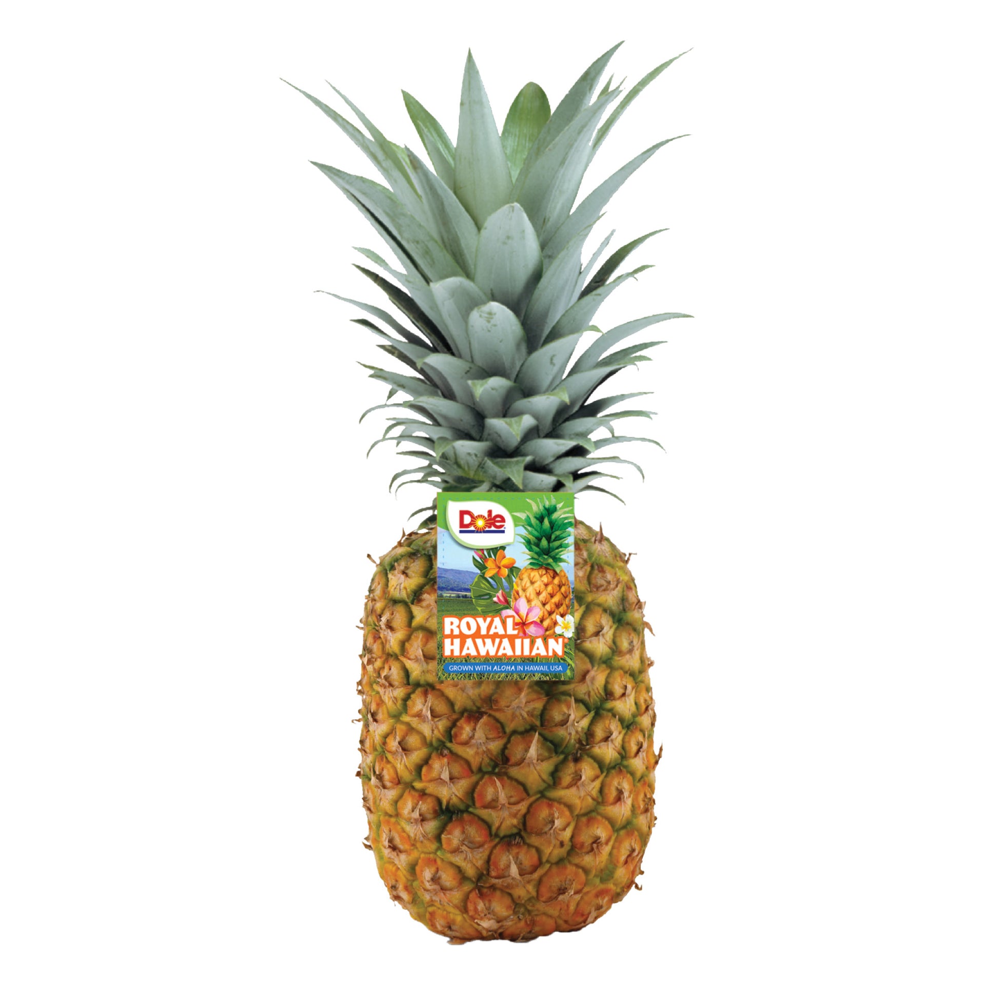 120 Wholesale 6 Pack Gold Pineapple Push Pins - at